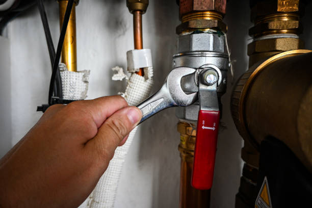 Best Plumbing Inspection Services  in Llano Grande, TX